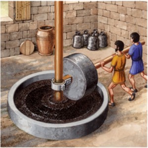 A-agricultura-na-Roma-antiga-e-suas-ferramentas-extracao-de-azeite