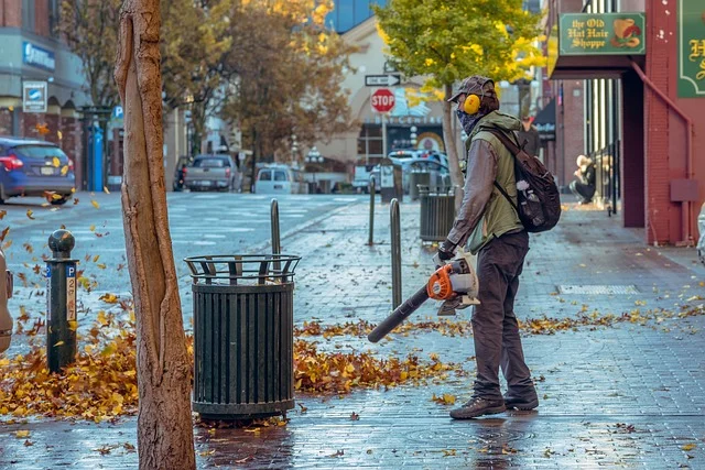 Imagem de homem equipado com soprador e fones contra ruídos, assoprado as folhas embaixo de árvore