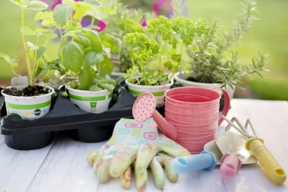 Imagem de mesa com muitas plantas com luva, e ferramentas