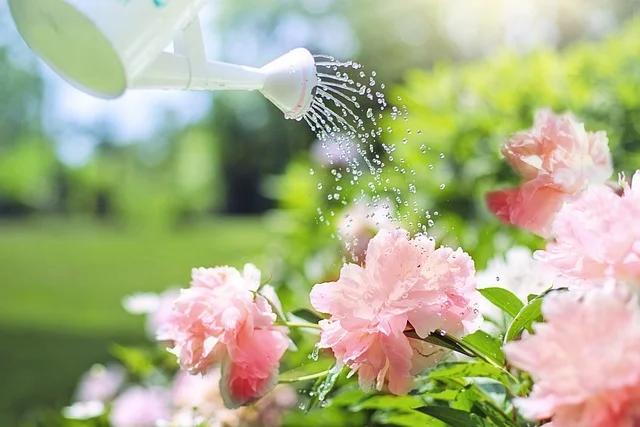 Imagem de pessoa regando flores em jardim