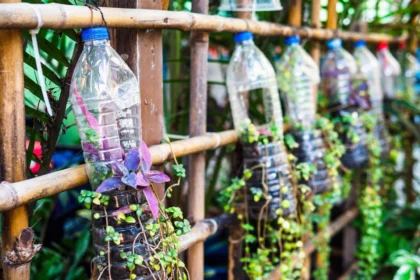 foto de um Jardim suspenso com garrafa pet